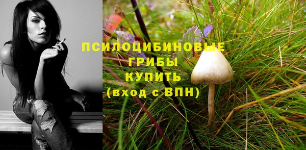 PSILOCYBIN Алексеевка