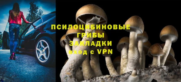 PSILOCYBIN Алексеевка